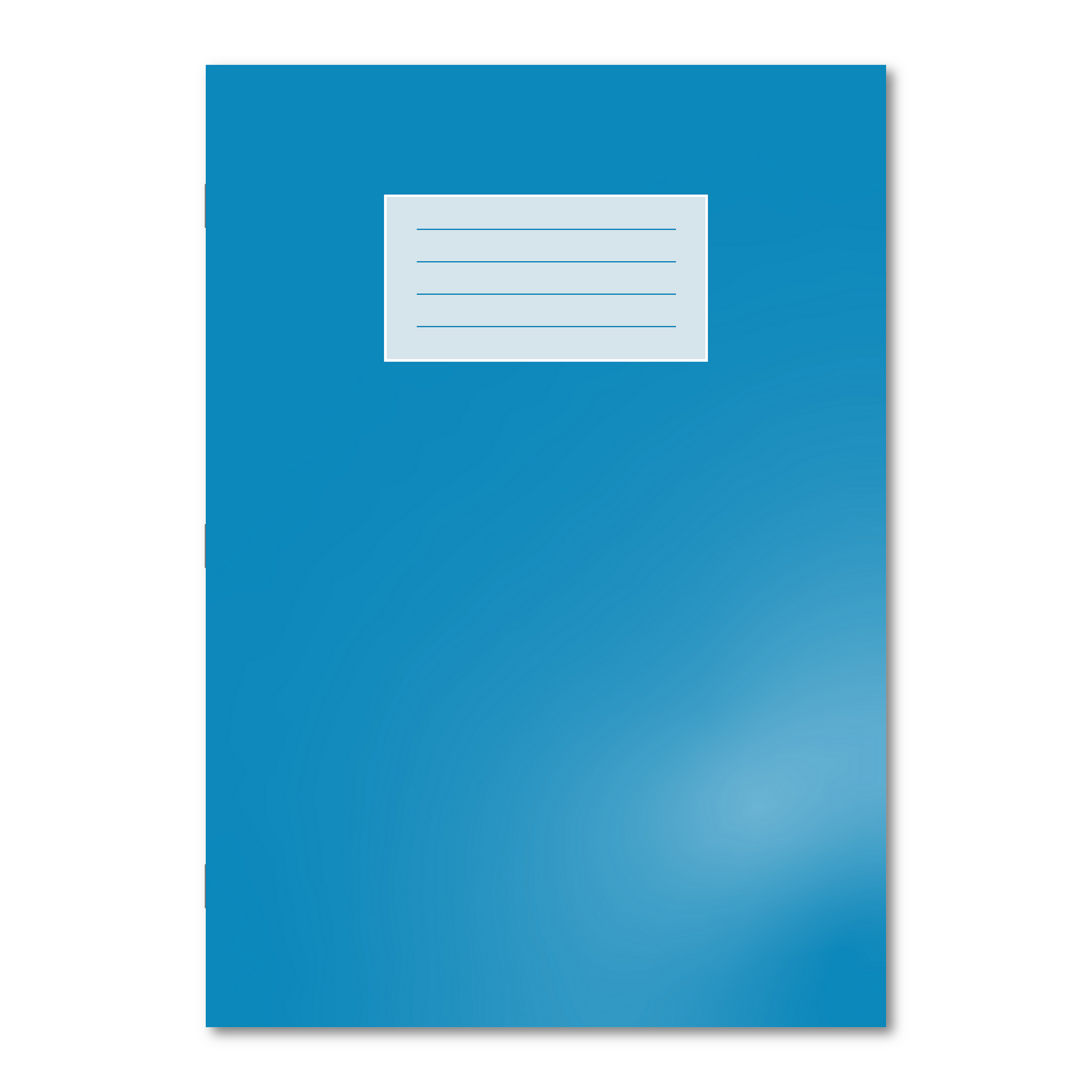 Oxford School Exercise Book A4 1,5,10mm Graph/8mm Ruled & Margin - Fas ...