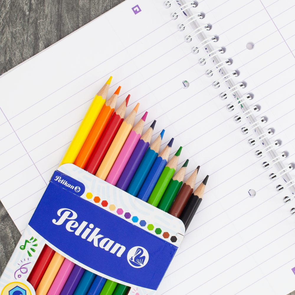 Pelikan Hexagonal Colouring Pencils - Pack of 12