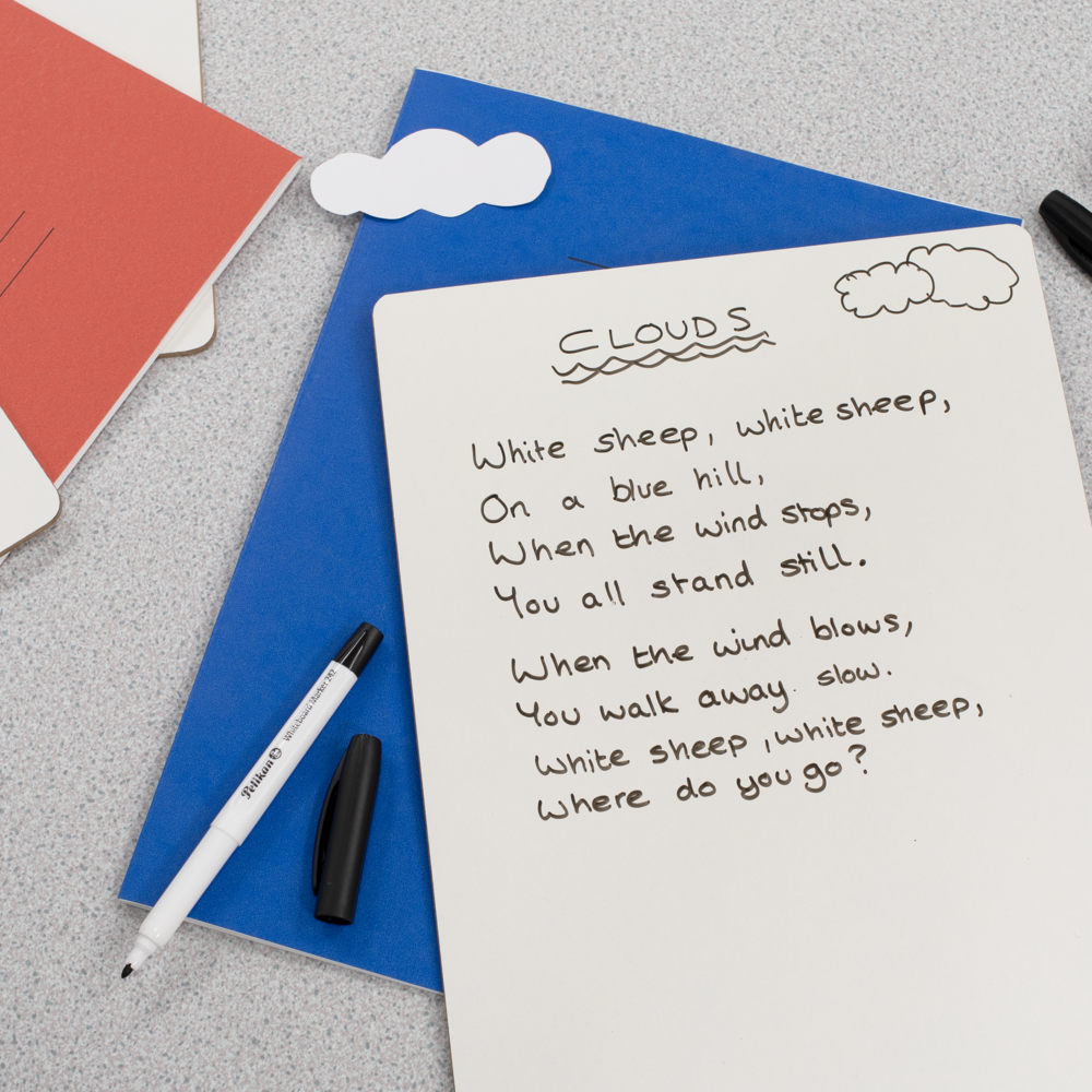 Pelikan Fine Tip Drywipe Whiteboard Markers
